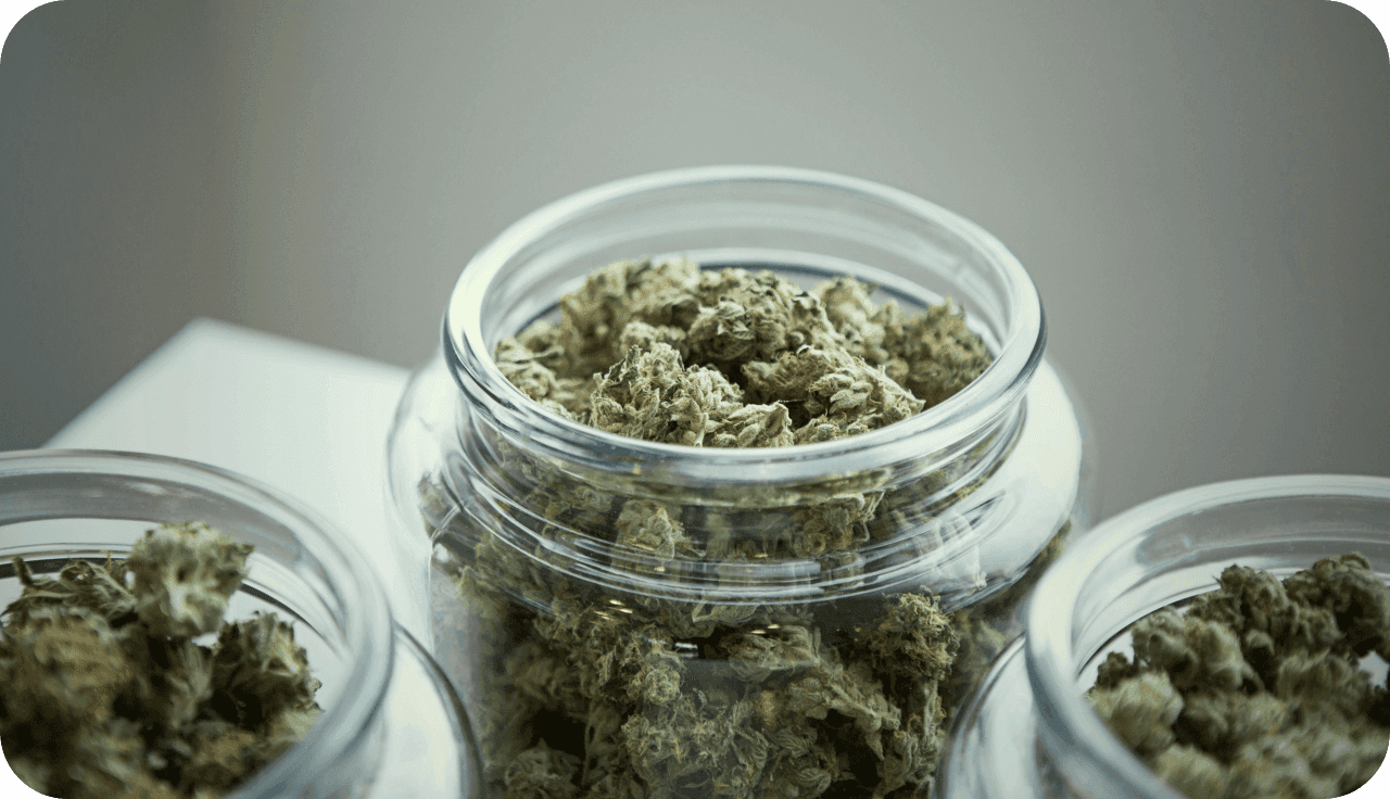 Gefäß mit Cannabisblüten